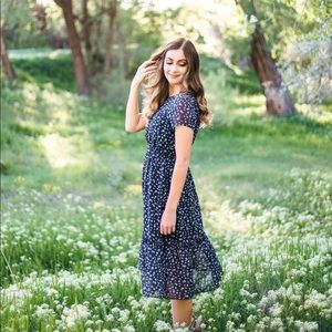 Meet your Posher, Ashton